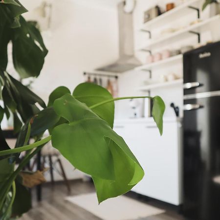 Urban Jungle Apartment - Free Parking Λιουμπλιάνα Εξωτερικό φωτογραφία