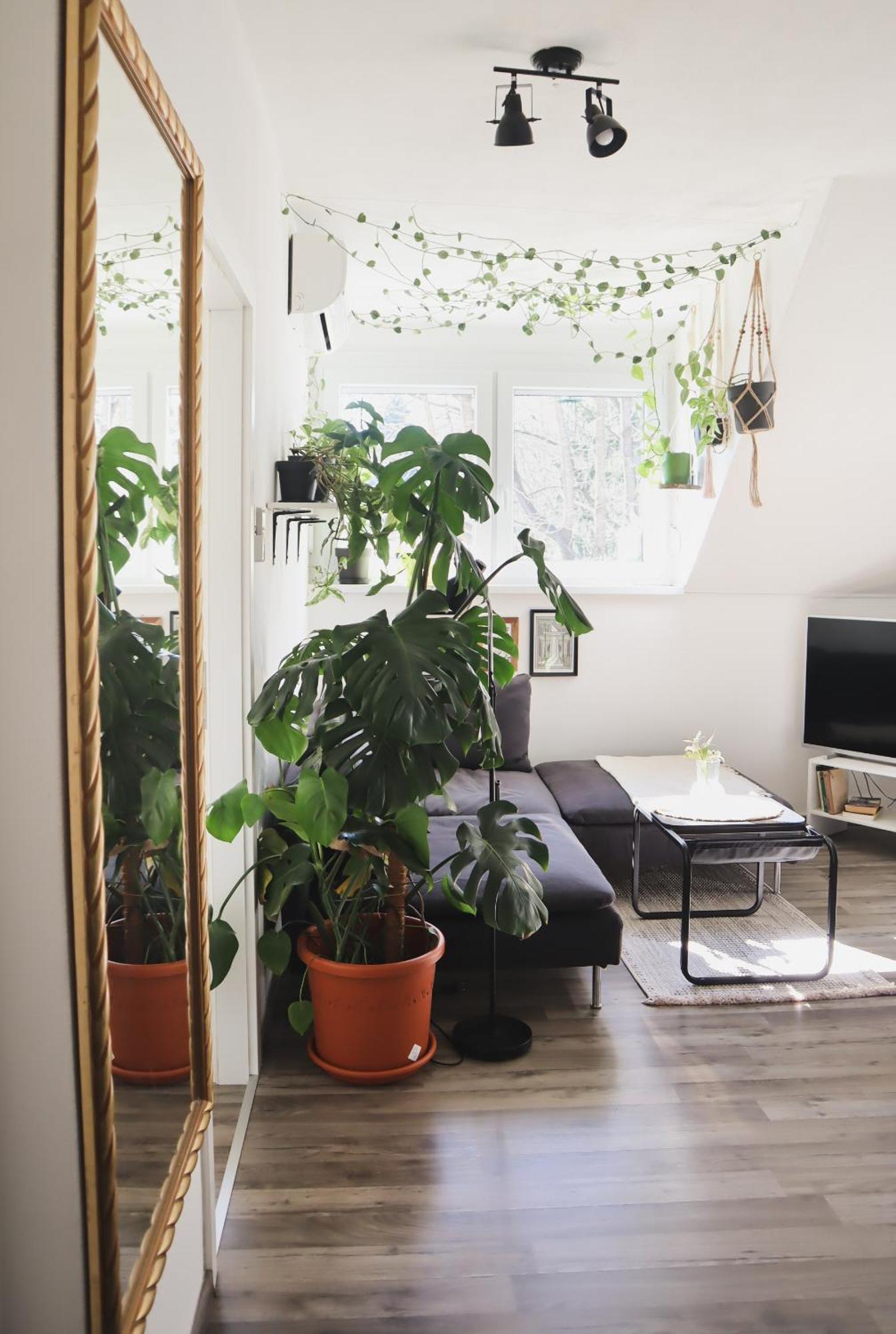 Urban Jungle Apartment - Free Parking Λιουμπλιάνα Εξωτερικό φωτογραφία