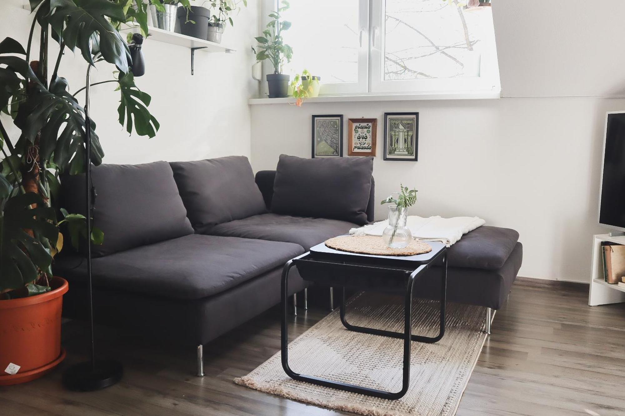Urban Jungle Apartment - Free Parking Λιουμπλιάνα Εξωτερικό φωτογραφία