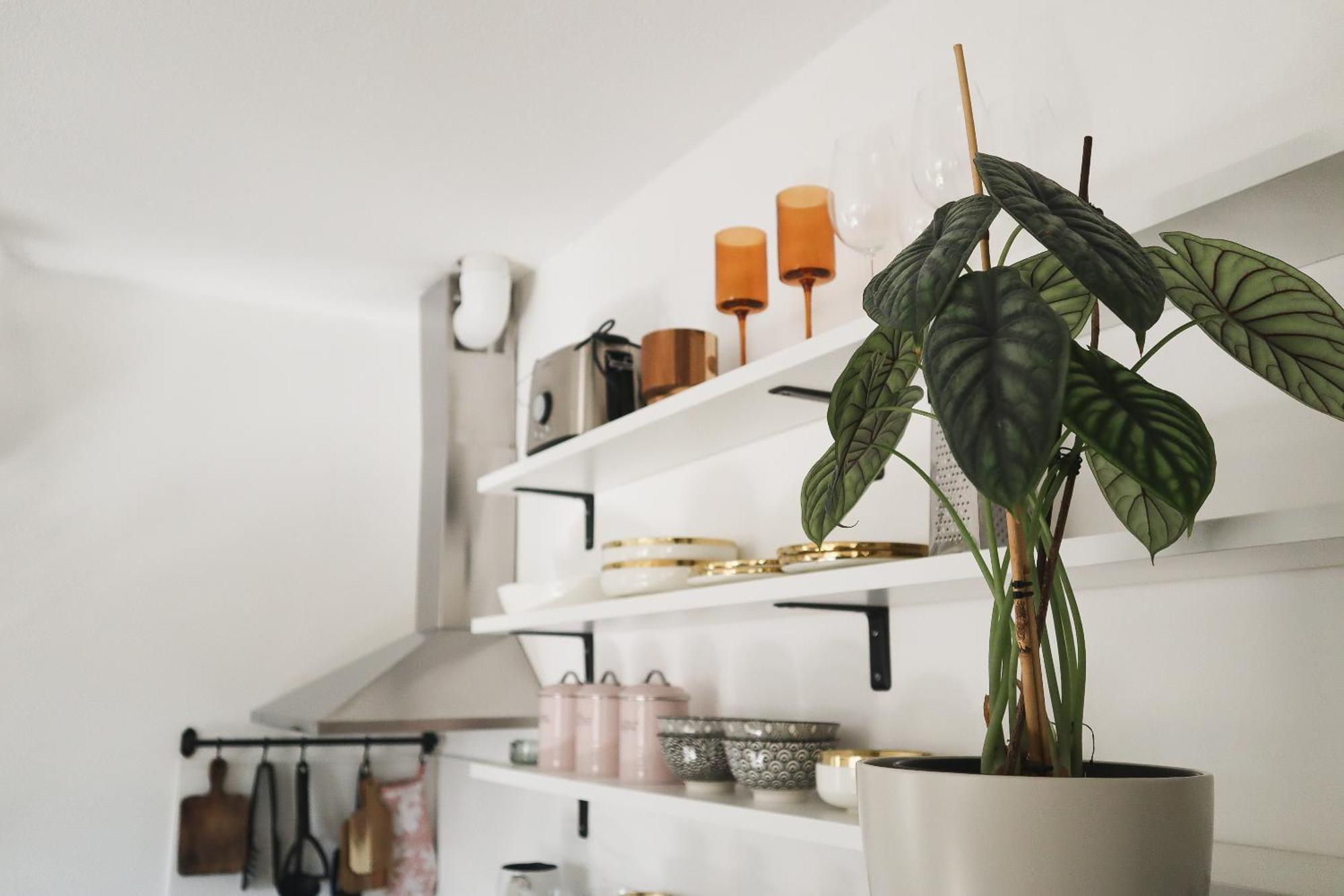 Urban Jungle Apartment - Free Parking Λιουμπλιάνα Εξωτερικό φωτογραφία