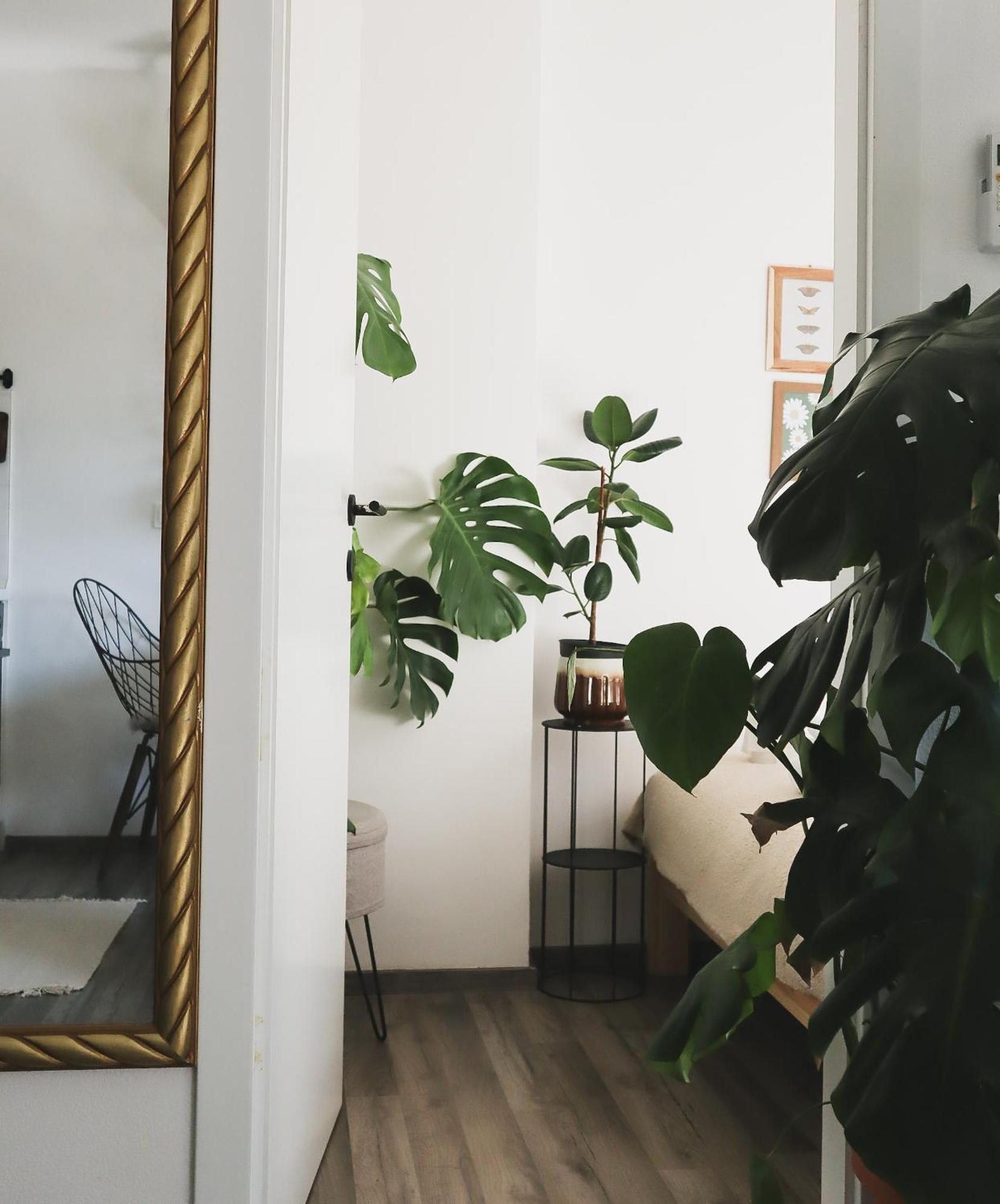 Urban Jungle Apartment - Free Parking Λιουμπλιάνα Εξωτερικό φωτογραφία