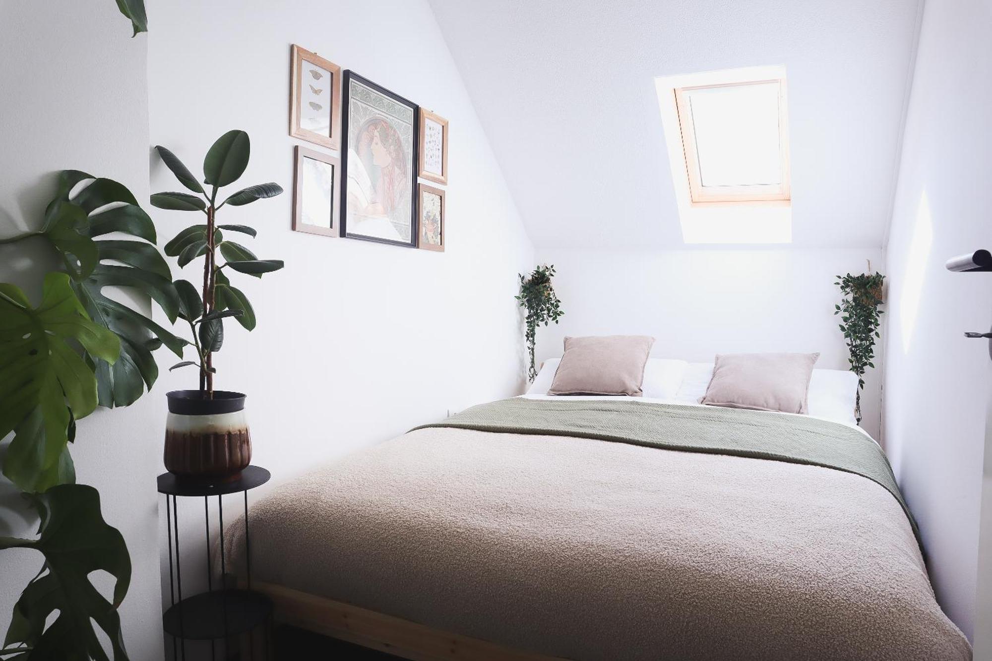 Urban Jungle Apartment - Free Parking Λιουμπλιάνα Εξωτερικό φωτογραφία