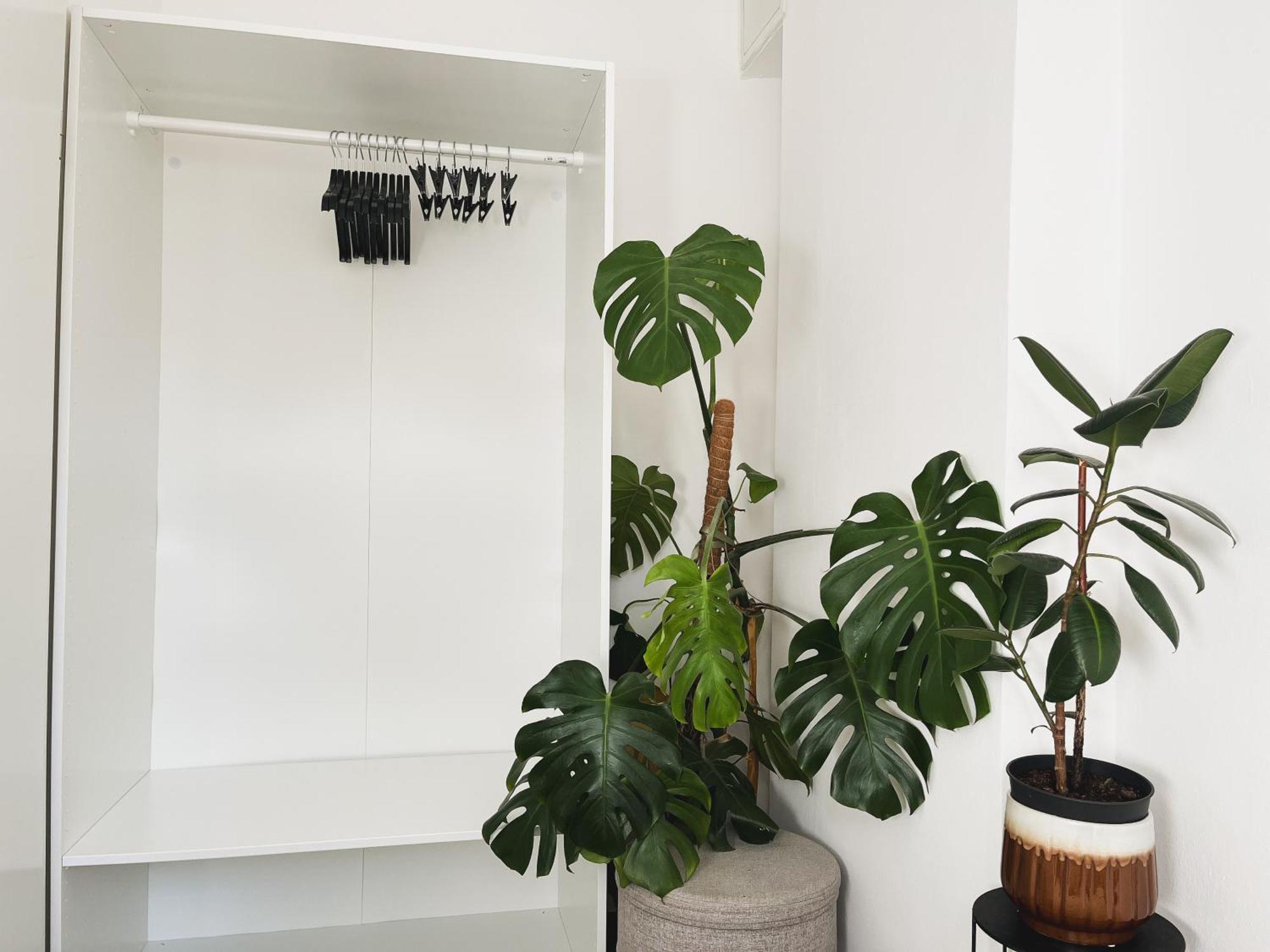 Urban Jungle Apartment - Free Parking Λιουμπλιάνα Εξωτερικό φωτογραφία