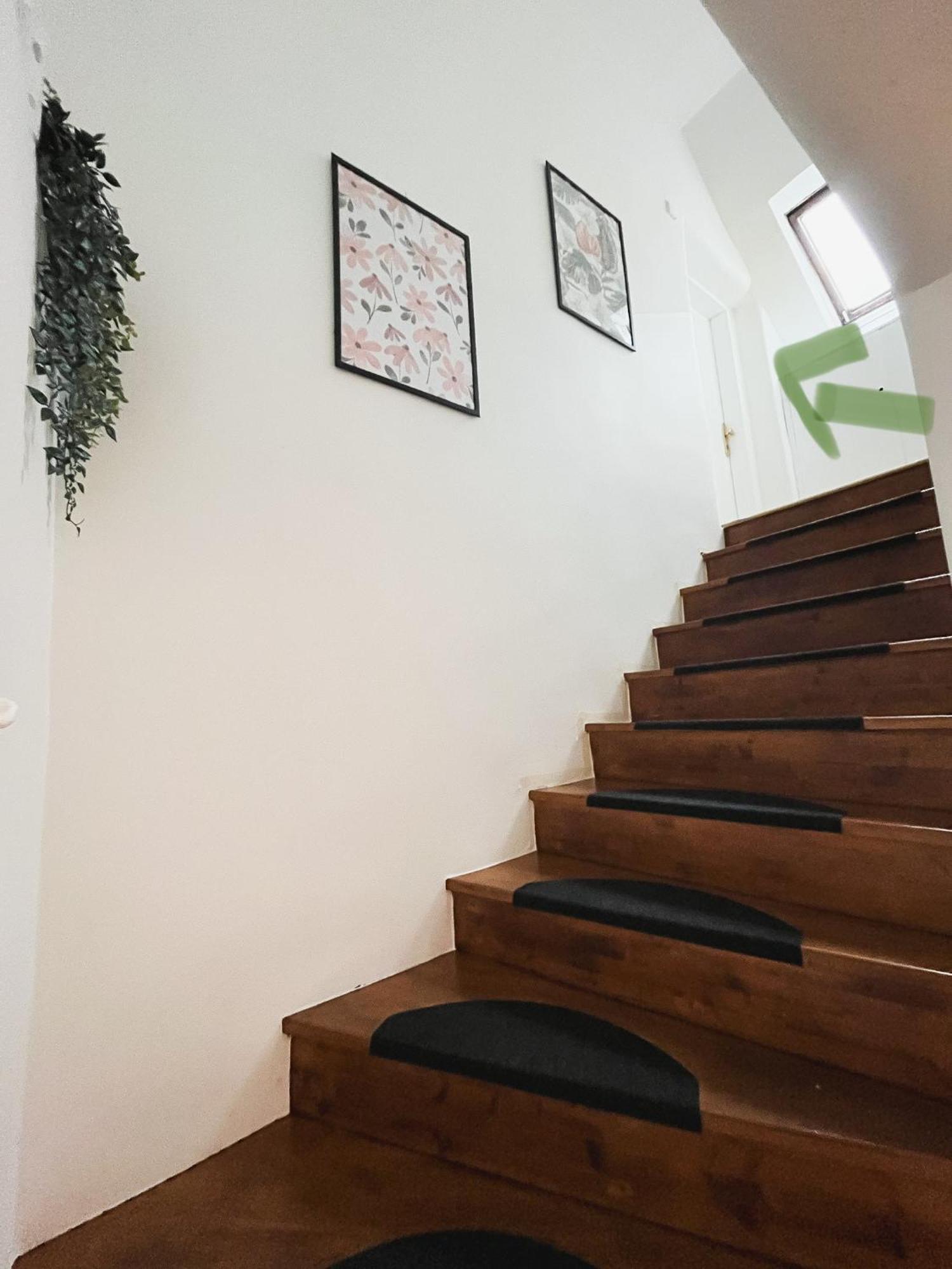 Urban Jungle Apartment - Free Parking Λιουμπλιάνα Εξωτερικό φωτογραφία